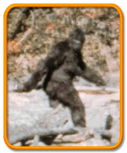 Bigfoot, aka Sasquatch