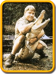 Steve Irwin, The Crocodile Hunter