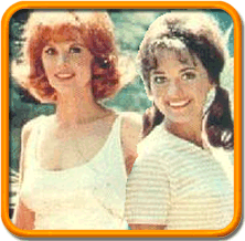 Ginger Grant and Mary Ann Summers, Gilligan's Island