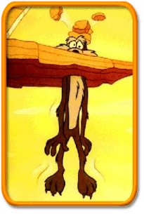 Wile E. Coyote, Looney Toons
